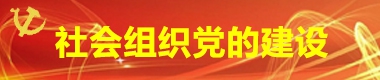 社會(huì)組織黨的建設(shè)